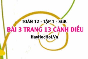 Bài 3 trang 13 Toán 12 tập 1 Cánh Diều